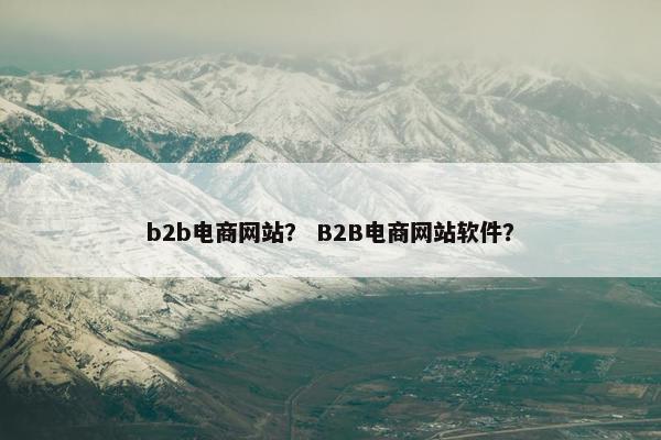 b2b电商网站？ B2B电商网站软件？