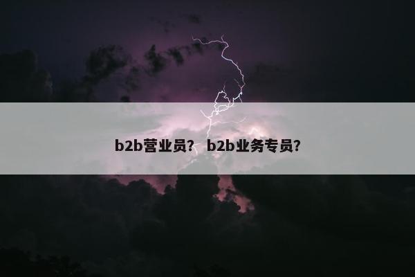 b2b营业员？ b2b业务专员？