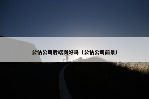 公估公司后端岗好吗（公估公司前景）