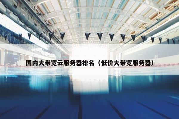 国内大带宽云服务器排名（低价大带宽服务器）