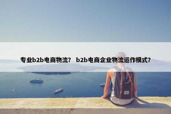 专业b2b电商物流？ b2b电商企业物流运作模式？