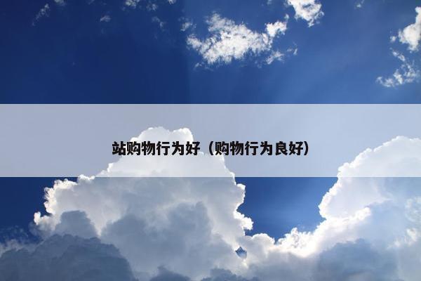 站购物行为好（购物行为良好）