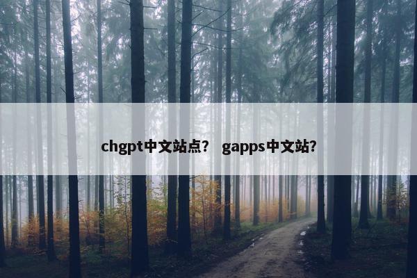 chgpt中文站点？ gapps中文站？