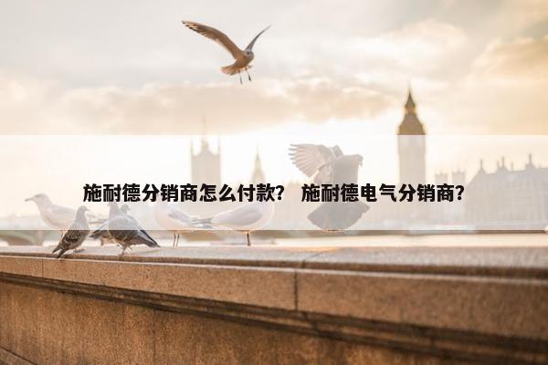 施耐德分销商怎么付款？ 施耐德电气分销商？