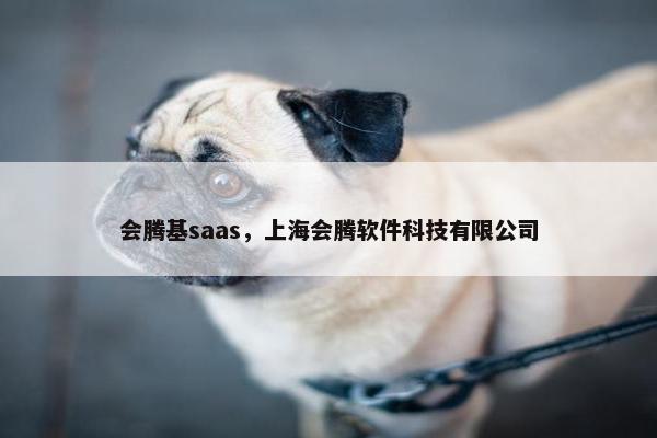 会腾基saas，上海会腾软件科技有限公司