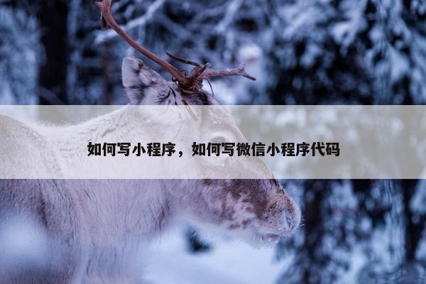 如何写小程序，如何写微信小程序代码