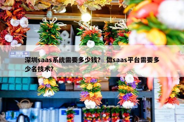 深圳saas系统需要多少钱？ 做saas平台需要多少名技术？