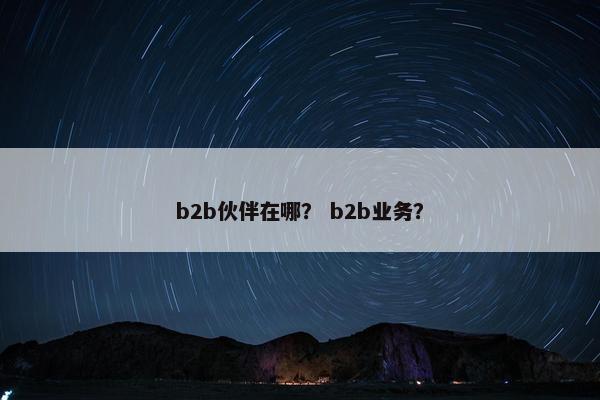 b2b伙伴在哪？ b2b业务？