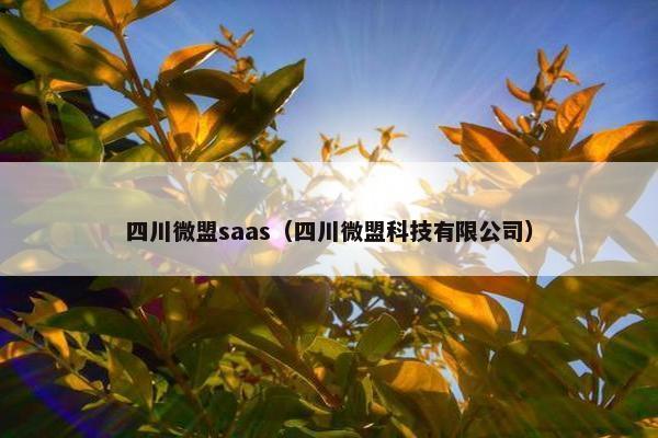 四川微盟saas（四川微盟科技有限公司）