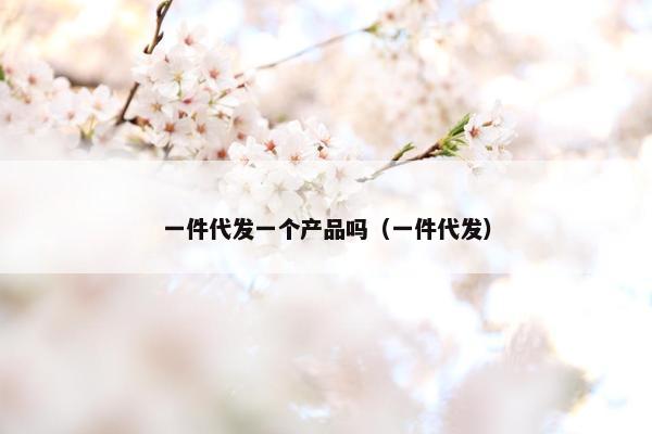 一件代发一个产品吗（一件代发）