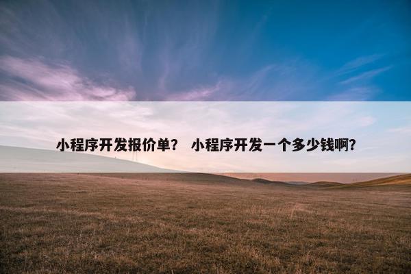 小程序开发报价单？ 小程序开发一个多少钱啊？