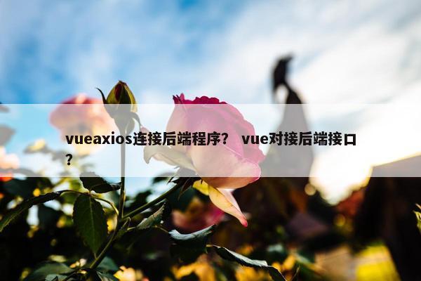 vueaxios连接后端程序？ vue对接后端接口？