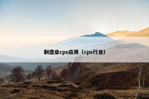制造业cps应用（cps行业）