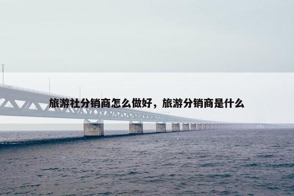 旅游社分销商怎么做好，旅游分销商是什么