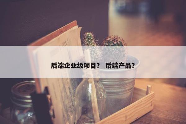 后端企业级项目？ 后端产品？