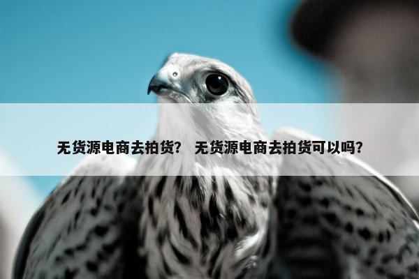 无货源电商去拍货？ 无货源电商去拍货可以吗？