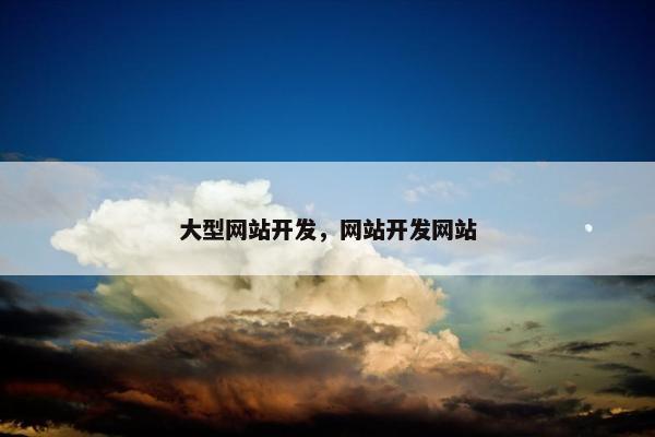 大型网站开发，网站开发网站