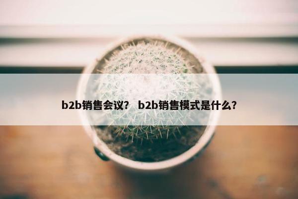 b2b销售会议？ b2b销售模式是什么？