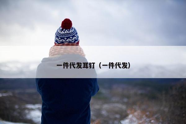 一件代发耳钉（一件代发）