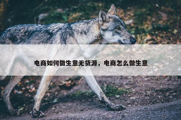 电商如何做生意无货源，电商怎么做生意