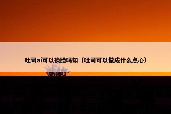 吐司ai可以换脸吗知（吐司可以做成什么点心）