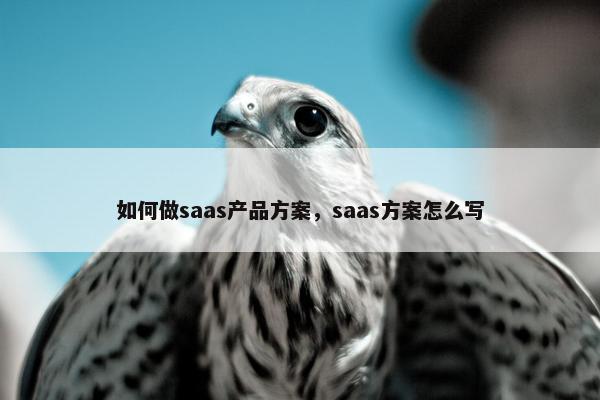 如何做saas产品方案，saas方案怎么写