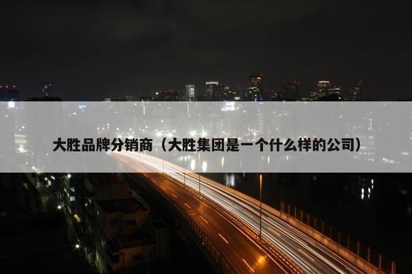 大胜品牌分销商（大胜集团是一个什么样的公司）