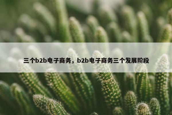 三个b2b电子商务，b2b电子商务三个发展阶段