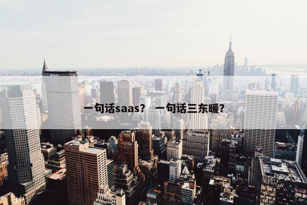 一句话saas？ 一句话三东暖？