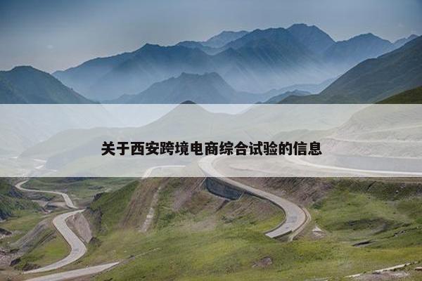 关于西安跨境电商综合试验的信息