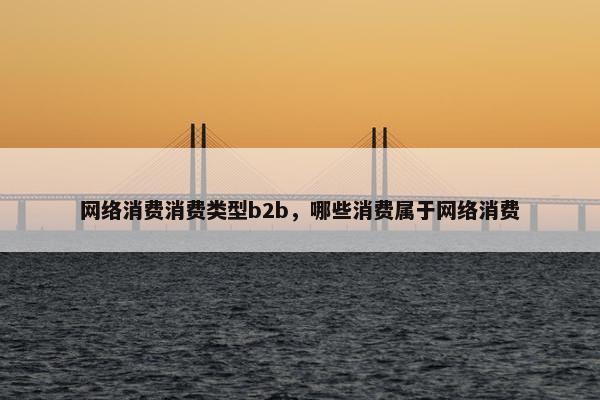 网络消费消费类型b2b，哪些消费属于网络消费