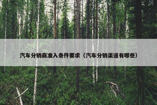 汽车分销商准入条件要求（汽车分销渠道有哪些）