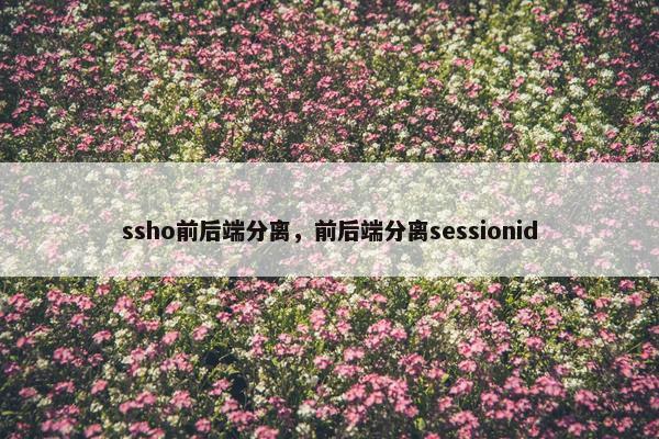 ssho前后端分离，前后端分离sessionid