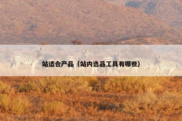 站适合产品（站内选品工具有哪些）