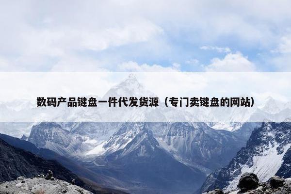 数码产品键盘一件代发货源（专门卖键盘的网站）