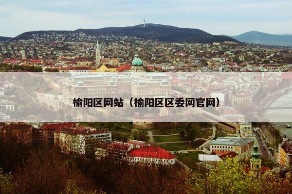 榆阳区网站（榆阳区区委网官网）