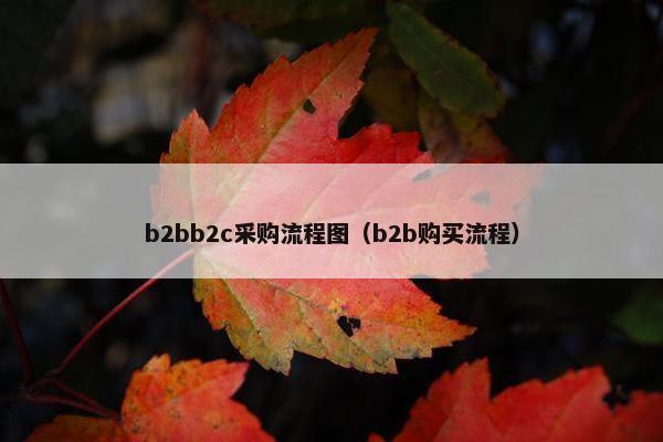b2bb2c采购流程图（b2b购买流程）