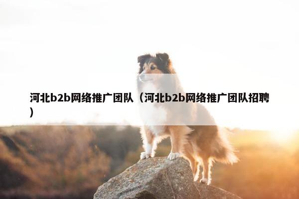河北b2b网络推广团队（河北b2b网络推广团队招聘）