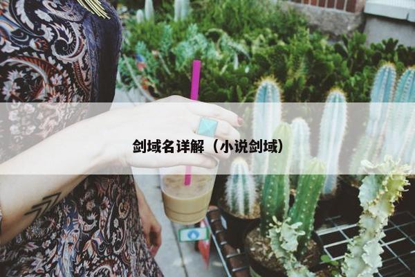 剑域名详解（小说剑域）