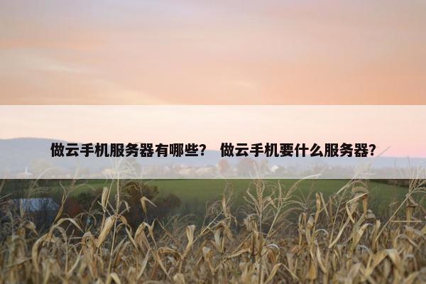 做云手机服务器有哪些？ 做云手机要什么服务器？