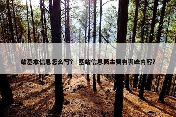 站基本信息怎么写？ 基站信息表主要有哪些内容？