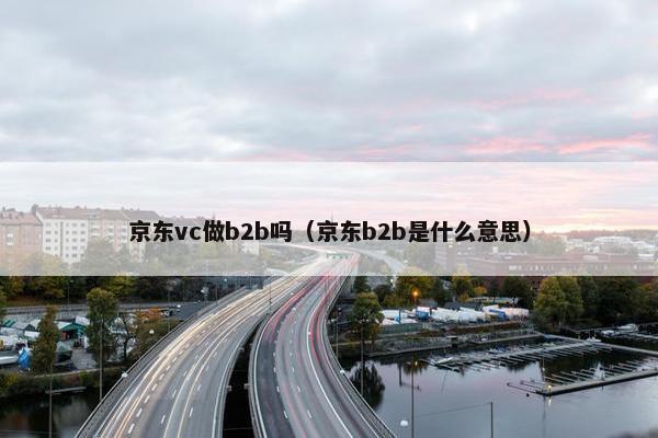 京东vc做b2b吗（京东b2b是什么意思）