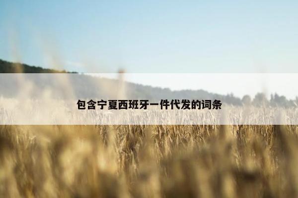 包含宁夏西班牙一件代发的词条