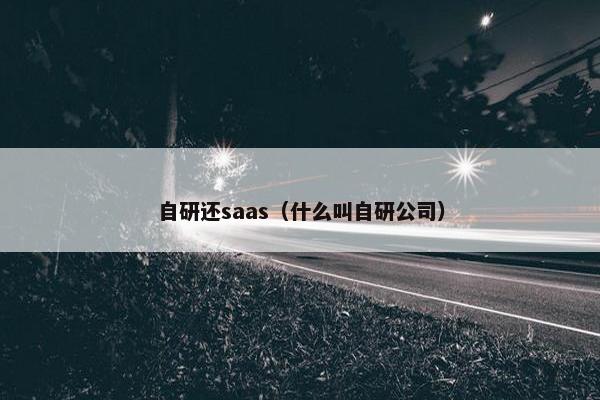 自研还saas（什么叫自研公司）