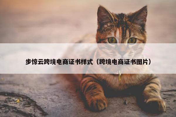 步惊云跨境电商证书样式（跨境电商证书图片）