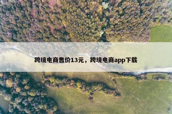 跨境电商售价13元，跨境电商app下载
