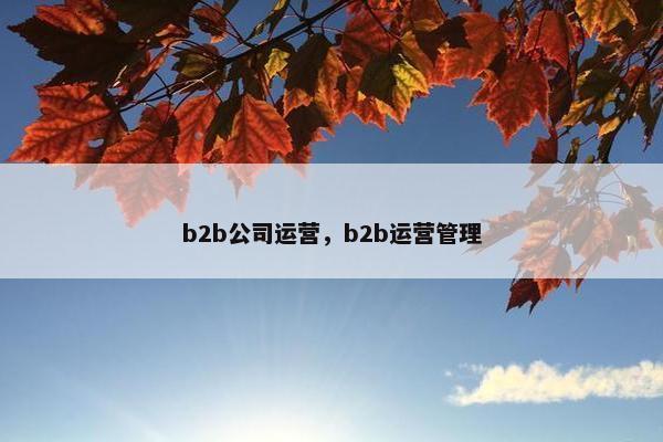 b2b公司运营，b2b运营管理