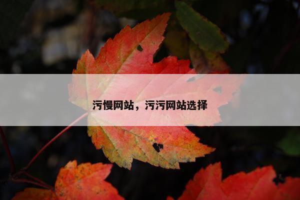 污慢网站，污污网站选择