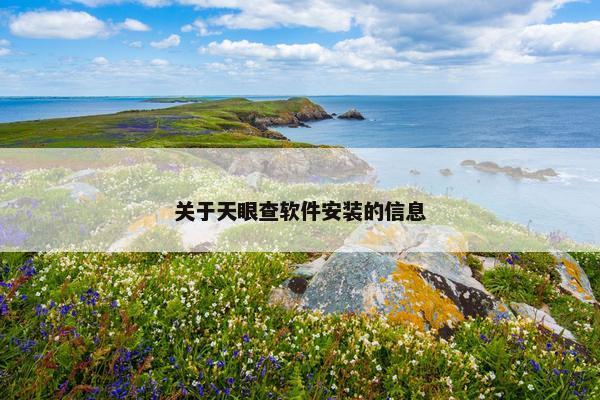 关于天眼查软件安装的信息