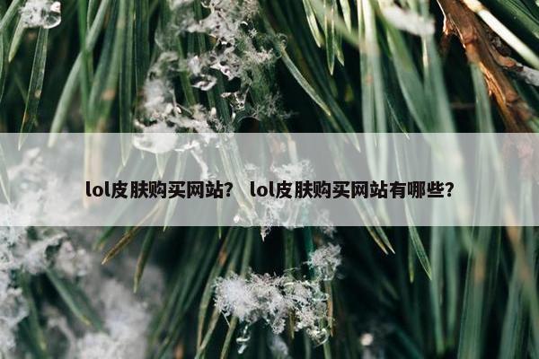 lol皮肤购买网站？ lol皮肤购买网站有哪些？